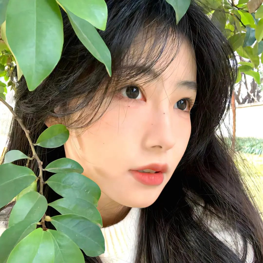 飞女黛丝